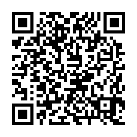 QR code for R00383