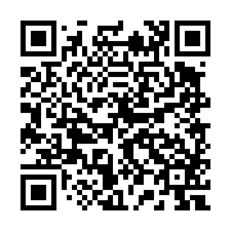 QR code for R00486
