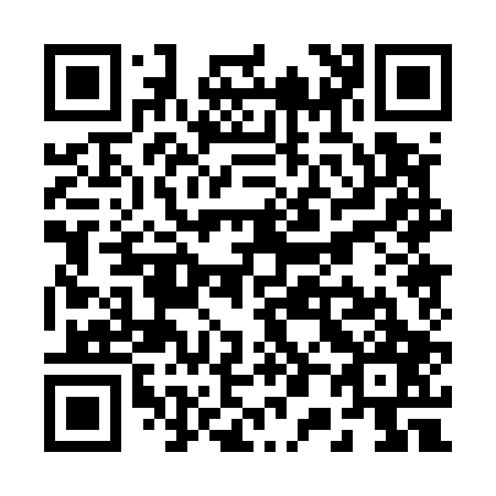 QR code for R00507