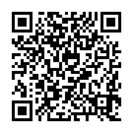 QR code for R00593