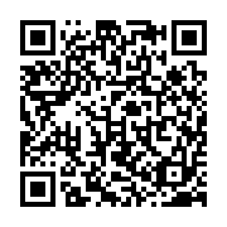 QR code for R01313