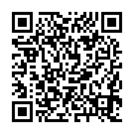 QR code for R02951