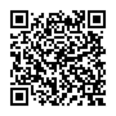 QR code for R03593