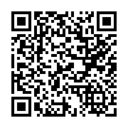 QR code for R03935