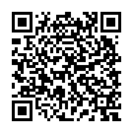 QR code for R04650
