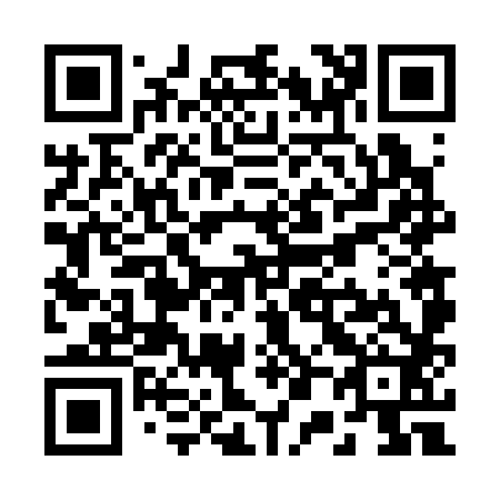 QR code for R06382