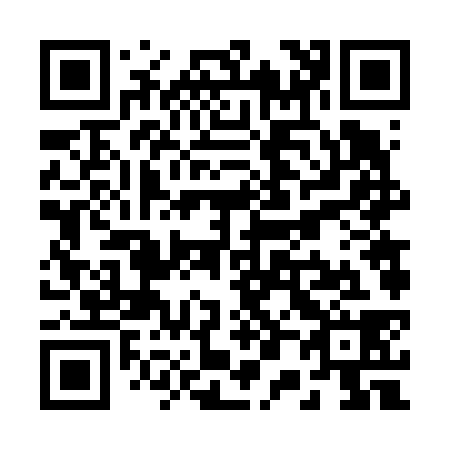 QR code for R06638