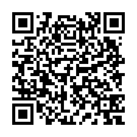 QR code for R08638