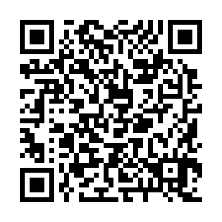 QR code for R09384