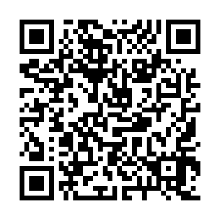 QR code for R09517