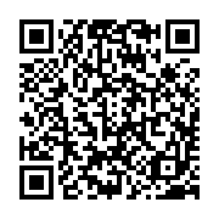 QR code for R12993