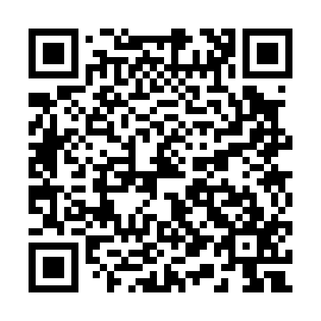 QR code for R13017