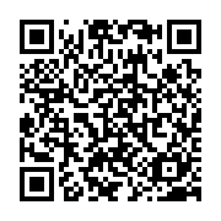 QR code for R13325