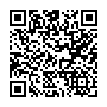QR code for R20317