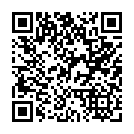 QR code for R20489