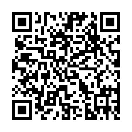 QR code for R20511