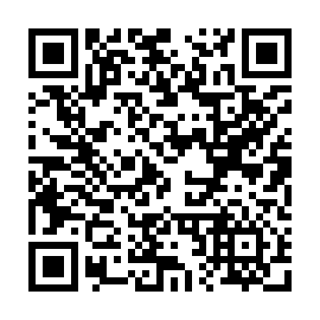 QR code for R20916