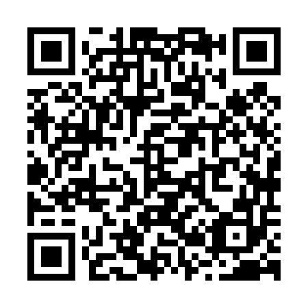 QR code for R28452