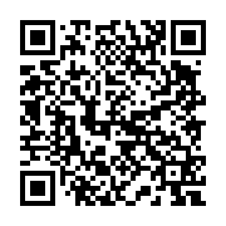 QR code for R28460