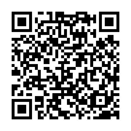 QR code for R28630