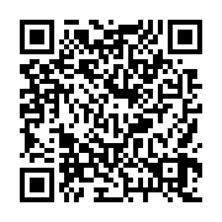 QR code for R28768