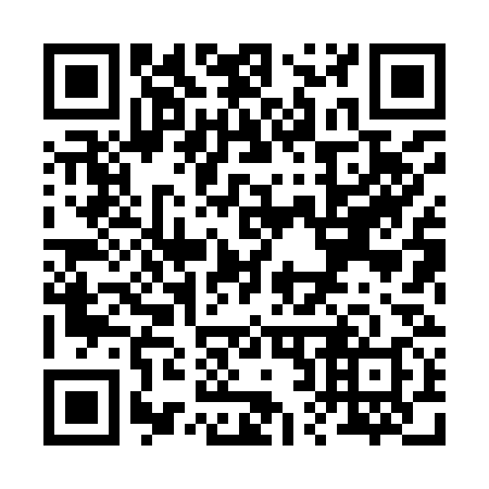 QR code for R28938