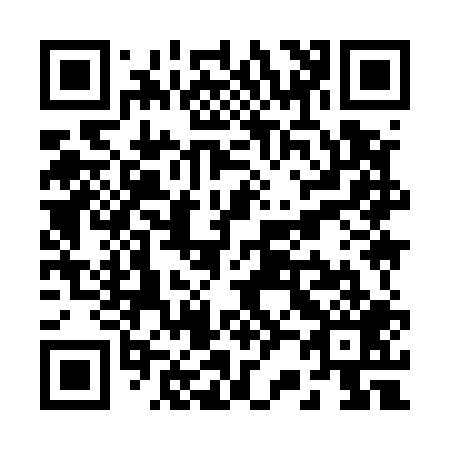 QR code for R29509
