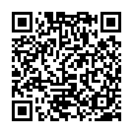 QR code for R29703