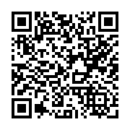 QR code for R29953