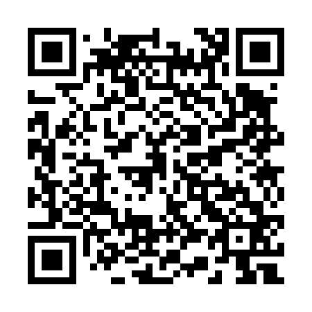 QR code for R33462