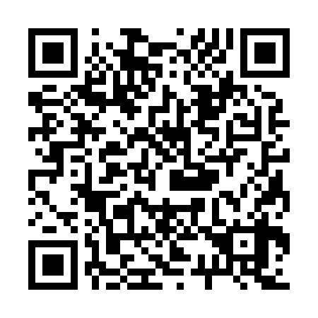 QR code for R33838