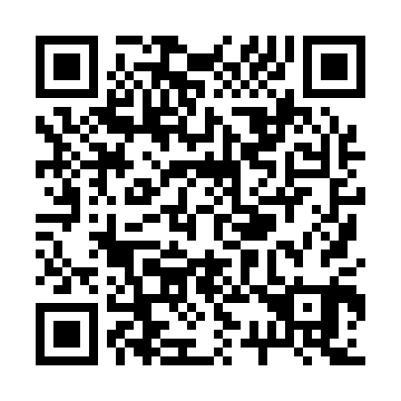 QR code for R38101