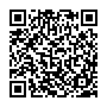 QR code for R38354