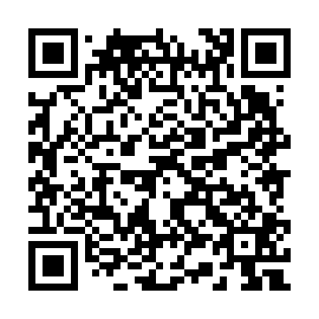 QR code for R38601