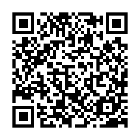 QR code for R38705