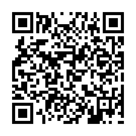 QR code for R40335