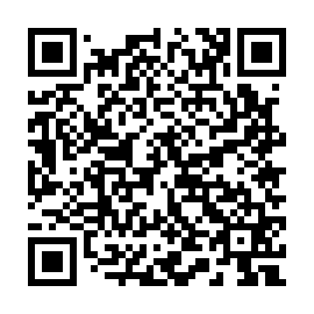 QR code for R45161