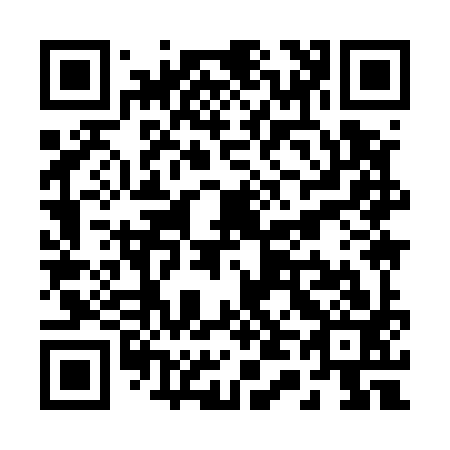 QR code for R49593