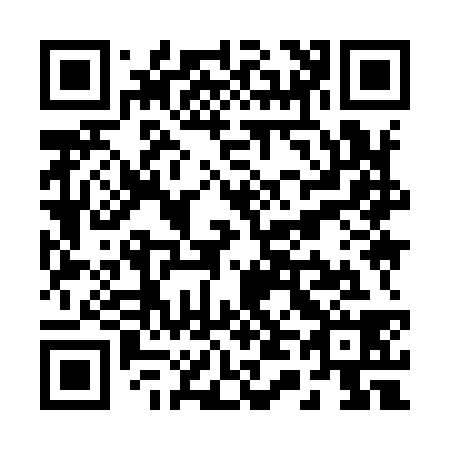 QR code for R49938
