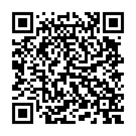 QR code for R51463