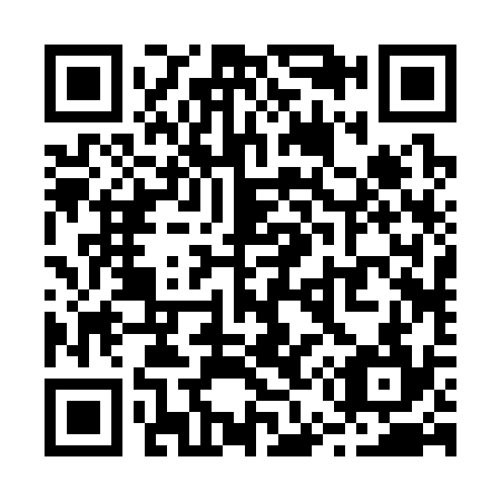 QR code for R52334