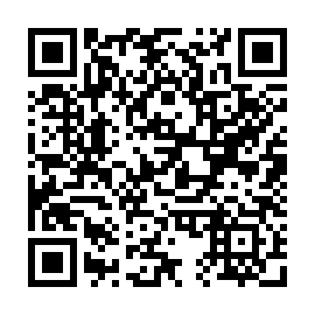 QR code for R53383