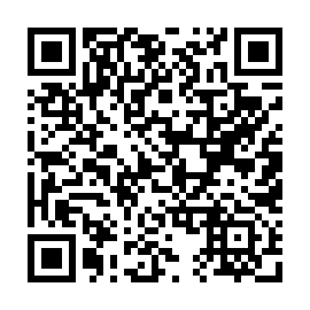 QR code for R55493