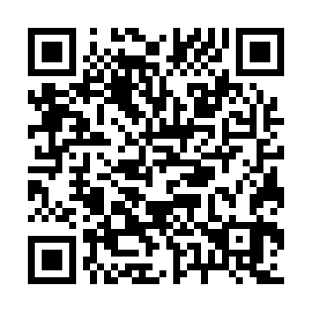 QR code for R57163