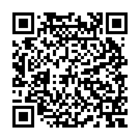 QR code for R60294