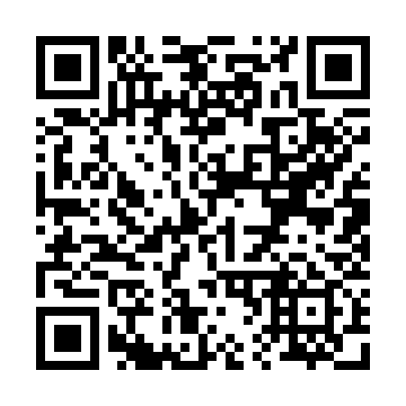 QR code for R61339