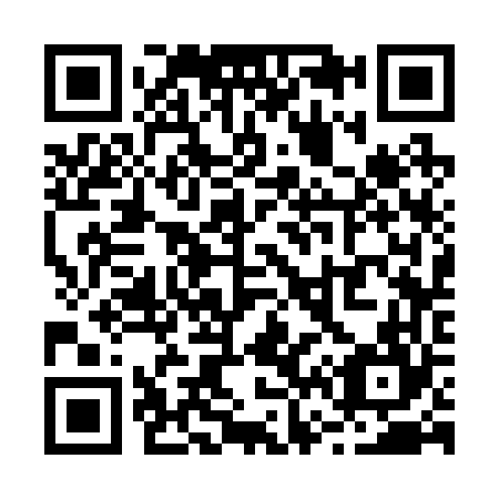 QR code for R63264