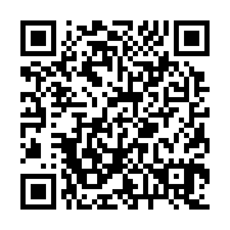 QR code for R63305