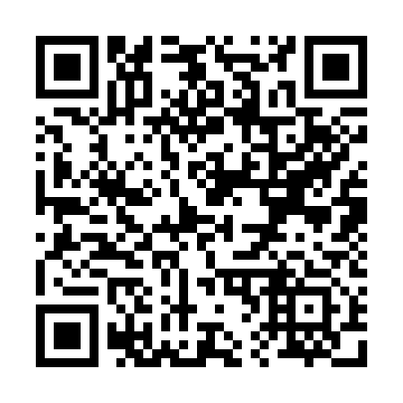 QR code for R63313