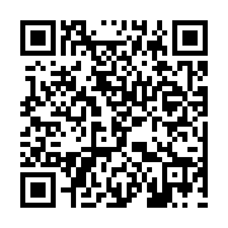 QR code for R63328